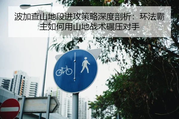 波加查山地段进攻策略深度剖析：环法霸主如何用山地战术碾压对手