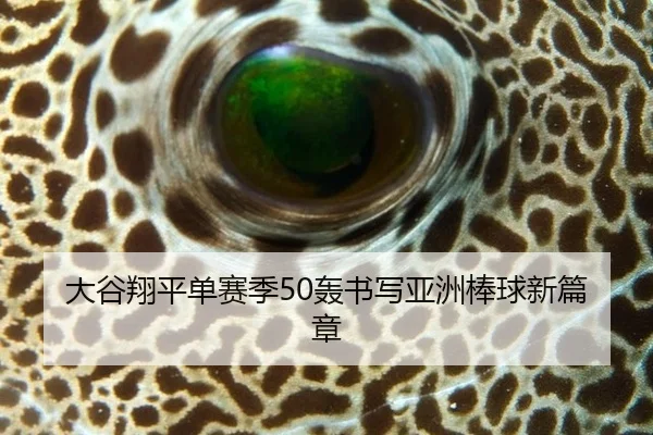 大谷翔平单赛季50轰书写亚洲棒球新篇章