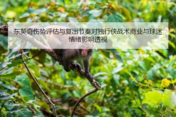dong-qi-qi-shang-shi-ping-gu-yu-fu-chu-jie-zou-dui-du-xing-xia-zhan-shu-shang-ye-yu-qiu-mi-qing-xu-ying-xiang-tou-shi-2-670.jpg